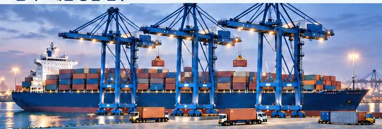 Port Automation and Logistics
